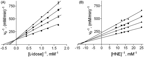 Figure 1. Effect of DMSO on aldose reductase activity. Inhibition data of DMSO on AR are reported in double reciprocal plots. Panel A: AR activity was determined using different L-idose concentrations, both in the absence (circle) and in the presence of 40 mM (triangle), 100 mM (square), and 200 mM (diamond) DMSO. Panel B: AR activity was determined using different HNE concentrations, both in the absence (circle) and in the presence of 100 mM (triangle), 200 mM (square), and 300 mM (diamond) DMSO.