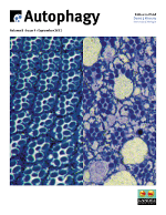 Cover image for Autophagy, Volume 8, Issue 9, 2012
