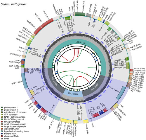 Figure 2. Gene map of the S. bulbiferum chloroplast genome. From the center outward, the first track indicates the dispersed repeats; The second track shows the long tandem repeats as short blue bars; The third track shows the short tandem repeats or microsatellite sequences as short bars with different colors; The fourth track shows small single-copy (SSC), inverted repeat (Ira and Irb), and large single-copy (LSC) regions. The GC content along the genome is plotted on the fifth track; The genes are shown on the sixth track.