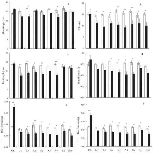 Figure 2. Shoot height (a), tillers (b), root length (c), shoot biomass (d), root biomass (e), total biomass per pot (f) of Elymus nutans when inoculated with sterilized or un-sterilized rhizosphere soil from different poisonous plants. The filled columns are AM fungi inoculum treatments (un-sterilized) and the open columns are non-AM fungi treatments (sterilized). Bars represent means ± SE, * indicates p < 0.05, ** indicates p < 0.001