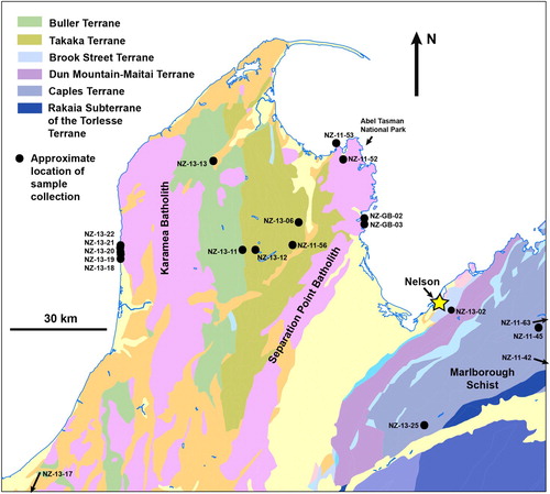 Figure 2. Map shows basement terranes that crop out today in the Nelson area of the northern South Island of New Zealand and locations of all sand sample sites collected in the Nelson area for this study. Figure adapted from Rattenbury et al. (Citation1998).
