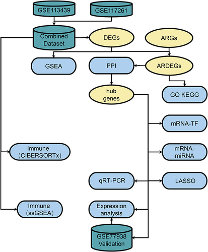 Figure 1 Flowchart of the Research Methodologies.