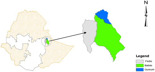Figure 1. Location of the study area in Oromia regional state of Ethiopia.