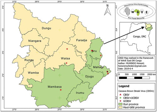 Figure 4. CBSD distribution in Haut Uélé and Ituri provinces, northeastern DRC.