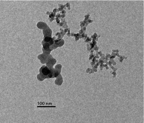 FIG. 2 Image showing cluster of multiple aggregates. Continuous regions of distinctly different primary particle size were taken as an indication of an undispersed cluster of aggregates.