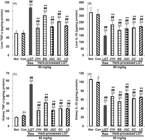 Figure 5. Effects of processed LGT treatment on TNF-α (A,C) and IL-10 (B,D) levels in the liver and kidney of LGT-exposed S180 tumour-bearing mice. Significant differences compared with the normal (Nor) group were designated as Δp < 0.05 and ΔΔp < 0.01, with the control (Con) group as ##p < 0.01, and with LGT raw product group as **p < 0.01.