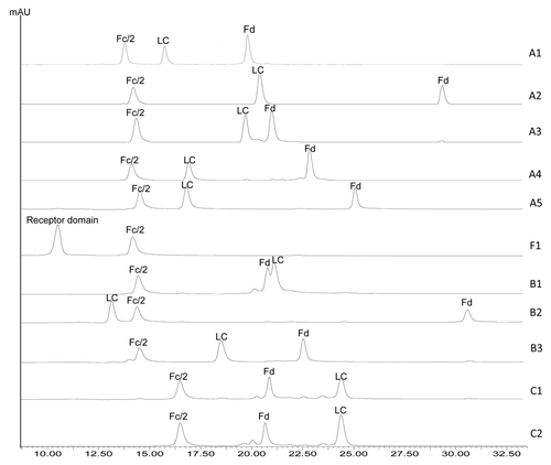 Figure 2. RP HPLC of IdeS digested IgG1 (A1-A5), IgG2 (B1-B3), IgG4 (C1-C2), and Fc fusion protein (F1) molecules.