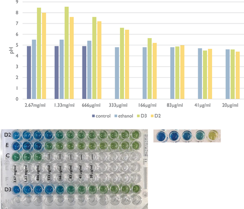 Figure 3.  pH assay in 1% sucrose medium. D3: Doxercalciferol; D2: Cholecalciferol; E: Ethanol; C: control (TSB 1% sucrose and bacteria). The graph corresponding to the values of pH obtained by the linear regression can be seen above (y-axis = pH; x-axis = vitamin D concentration).