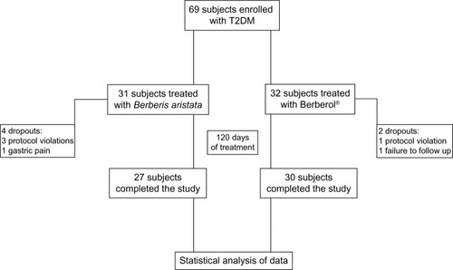 Figure 1 Scheme of the study.