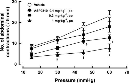 Figure 7 Effect of ASP0819 on visceromotor response induced by colorectal distension in rats. One hour after vehicle or ASP0819 (0.1–1 mg·kg-1) was orally administered, the number of abdominal contractions induced by balloon distension from 15 to 60 mmHg at 15-mmHg steps was counted. Each distension period was 5 min and was performed at 5-minute intervals. Data are expressed as the mean ± SEM in each group (n=10). $P<0.05, statistically significant compared to the control group (Dunnett’s multiple comparisons tests with Bonferroni correction).