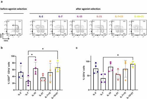 Figure 2. Effect of cytokine mix composition during agonist selection on in vitro T cell maturation. (a) Maturation from CD1a+ CD27− to CD1a− CD27+ cells after agonist selection. Representative plots from one in vitro culture (of a total of 4 donors). The arrow in the first plot marks the expected differentiation: from CD1a+ CD27−, to CD1a+ CD27+ after upregulation of CD27 and finally CD1a− CD27+ after CD1a downregulation. Percentage of CD27+ CD1a− cells (b) and CD1a− cells (c) after agonist selection. Cells were agonist selected with the cognate peptide in the presence of cytokine(s) as shown. Gated on eGFP+ transduced cells. For (b) and (c) individual values and mean ± SD of 4 donors is shown. Results were compared using Kruskal–Wallis test followed by Dunn’s multiple comparisons test. p-value < 0.05 (*)