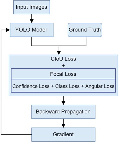 Figure 4. Training process of AR-YOLOv5.