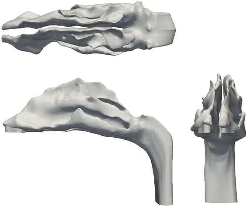 Figure 3. Nasal cavity geometry.