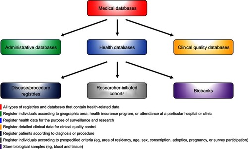 Figure 4 Classification of medical databases.