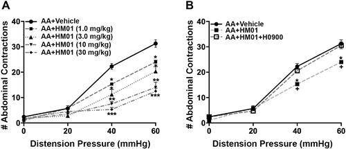 Figure 2 Effect of HM01 (1, 3, 10, 30 mg/kg, p.o.) (n= 4–6/group) on acetic acid (AA) induced visceral hypersensitivity. (A) Administration of HM01 reversed the colonic hypersensitivity as shown by the significant reduction of the visceral motor response (VMR) to colorectal distention (CRD). (B) In a separate cohort of animals, administration of ghrelin antagonist H0900 (30 mg/kg, p.o.) reversed the antinociceptive effects of HM01 (1.0 mg/kg, p.o.) (n=7). Data are expressed as mean ± SEM. Statistical significance was determined using Two-Way Repeated Measure ANOVA followed by a Bonferroni post-test: *p<0.05, **p<0.01, ***p<0.001, compared to AA+Vehicle; +p<0.05, compared to AA+HM01+H0900.