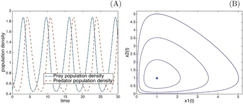 Figure 1. (a) Solution of Equation (Equation3(3) x1(0)=x10,x2(0)=x20,(3) ) for the initial condition x1(0)=0.5,x2(0)=0.7 in the time interval [0,60] (b): Orbits for positive initial conditions (1/2,1/2), (1/4,1/4) and (1/8,1/8).