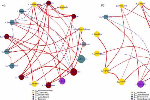 Figure 7. The correlation of selected bacterial (a) and fungal (b) communities-based network analysis