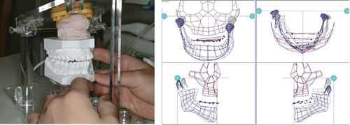 Figure 11. Real-time simulation. [Color version available online.]