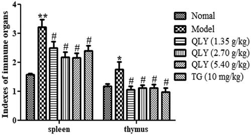 Figure 3. Effects of QLY granules on thymus and spleen indexes. Data are expressed as the mean ± SD, with 10 animals in each group. *p < 0.05, **p < 0.01 vs. normal; #p < 0.05 vs. model.