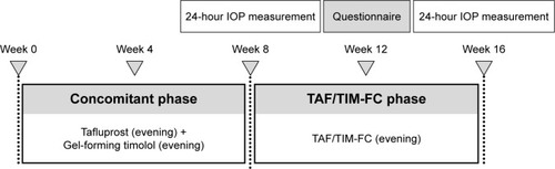 Figure 1 Study outline. IOP was measured over a 24-hour period at weeks 8 and 16, starting at 21:00.