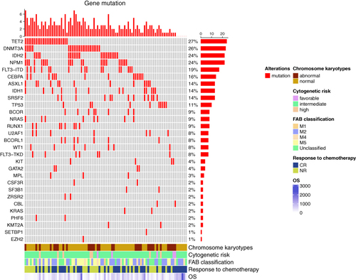 Figure 2 Overview of gene mutations, clinical features, and overall survival in elderly AML. Each column represents an individual patient, and the presence of the mutation is indicated in red. The upper panel shows the gene mutation, and the lower panel shows the clinical features and overall survival.