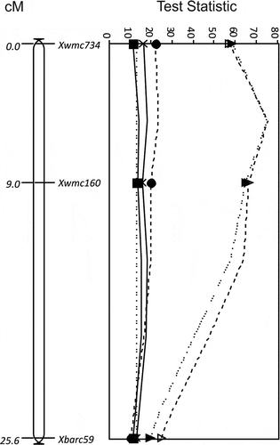 Fig. 2 The LOD for QTL for resistance to Ustilago tritici identified for Glenlea/Taber chromosome 5B with races T2 (■, solid line), T10 (●, dashed line), T15 (×, solid line), T19 (▲, dotted line) and T39 (Δ, dashed line). The MQTL Test Statistic threshold is shown as a straight dotted line for the P = 0.05 level of significance for the most conservative threshold.