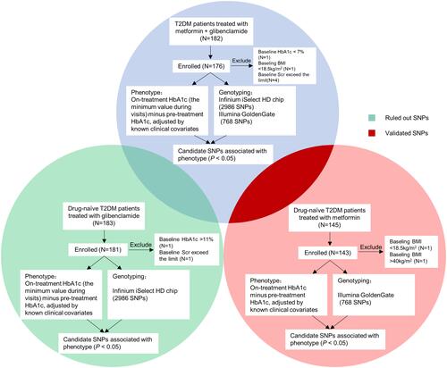 Figure 1 The design workflow of this clinical study.