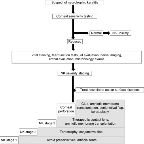 Figure 2 Stepwise approach to the diagnosis and treatment of neurotrophic keratitis (NK).
