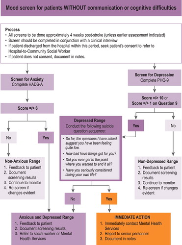 Figure 1 Post-stroke mood assessment pathway for patients without communication or cognitive difficulties (Adapted with permission from Kneebone et al., Citation2012)