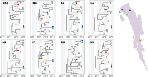 Figure 2. Molecular clock phylogenies of clinical samples of the H5N1 viruses (indicated by coloured circles) isolated from farms (2017–2019). All virus sequences fall within the same subclade in lineage 2.3.2.1.a. Map on the right provide geographic context of where samples were isolated in Chattogram. See Main text and Methods for further details about the analysis.