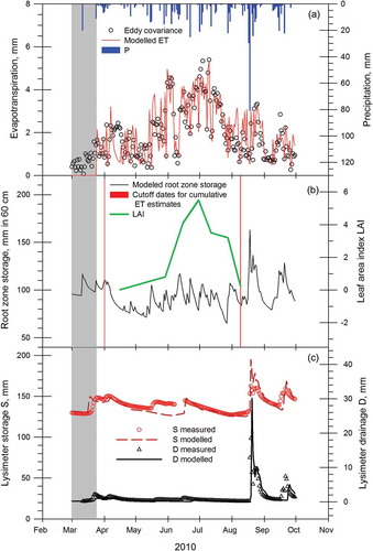 Fig. 3 Daily measurements and modelled water balance components in a spring barley field located in the Skjern River catchment. Shaded areas indicate periods with snow cover. (a) Measured and modelled evapotranspiration, (b) modelled root zone water storage and leaf area index, and (c) measured and modelled lysimeter storage and drainage.