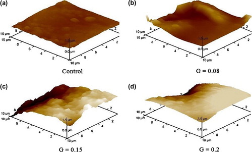 Figure 2. AFM at different graft of a partially graft was very important to have an overview of the process.