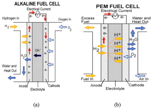 Figure 5. The operation diagram of HFC (a) Alkaline Fuel Cell (b) Proton Exchange Membrane Fuel Cell (Hames et al. Citation2018).