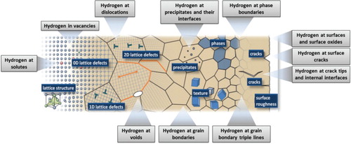 Figure 1. Hydrogen can get trapped and transported at various types of lattice defects such as vacancies and certain solutes, dislocations, grain boundaries, phase interfaces, triple points, precipitates, micro- and nanocracks, surface steps, voids and also inside the surface oxide layers. The main challenge in identifying the governing mechanisms behind hydrogen embrittlement lies in mapping hydrogen trapping and kinetics with microstructural sensitivity.