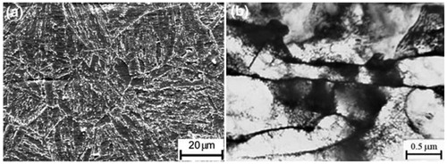 Figure 8. Images (a SEM and b TEM) of normalised and tempered P(T)91 steelCitation40 (with permission of Springer Science)