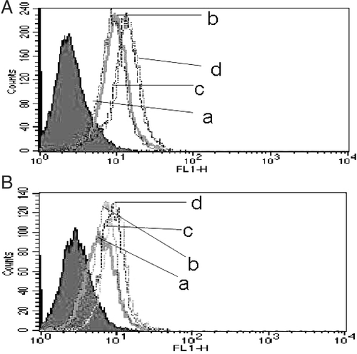 Figure 4. Effect of HT and Que on intracellular Dox accumulation in K562 and K562/A cells. Cells were incubated with medium containing 10 μg/ml Dox for 3 h with or without Que pretreatment when cells were heated. (A) Sensitive K562 cells; (B) resistant K562/A cells; a-d: different groups (a, Dox; b, HT + Dox; c, Que + Dox; d, Que + HT + Dox; the filled area represents normal naked cells).