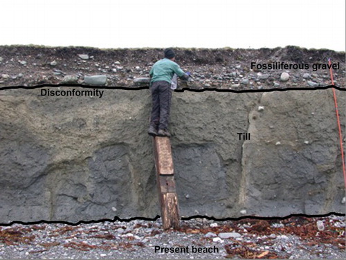 Figure 6. North of Porvenir: fossiliferous gravel of the second-order terrace overlying glacial sediments (till) and present beach environment.