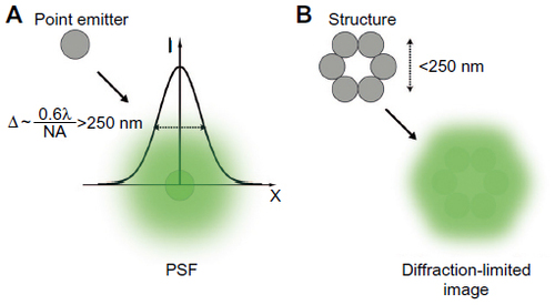 Figure 1 Resolution in conventional fluorescence microscopy.