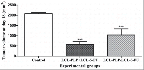 Figure 2. Effects of 2 different administration regimens of combined therapy (LCL-PLP+LCL-5-FU vs. LCL-PLP/LCL-5-FU) on s.c. C26 colon carcinoma growth. For each liposomal treatment scheme, as well as for the free drugs treatment schemes, tumor volumes at day 18 after tumor cell inoculation (when tumors from control group reached 2,000 mm3) were compared with the tumor volumes from control group (PBS-treated) measured at the same time point. The results were expressed as mean ± SD of tumor volumes of 5–6 mice. ns - not significant (P > 0.05); *P < 0.05; ***P < 0.001; Control - untreated group; LCL-PLP+LCL-5-FU - group treated with 20 mg/kg LCL-PLP and 1.2 mg/kg LCL-5-FU at days 8 and 11 after tumor cell inoculation; LCL - PLP/LCL-5-FU - group pretreated with 20 mg/kg LCL-PLP at days 8 and 11 after tumor cell inoculation with 24 h before administration of 1.2 mg/kg LCL-5-FU.