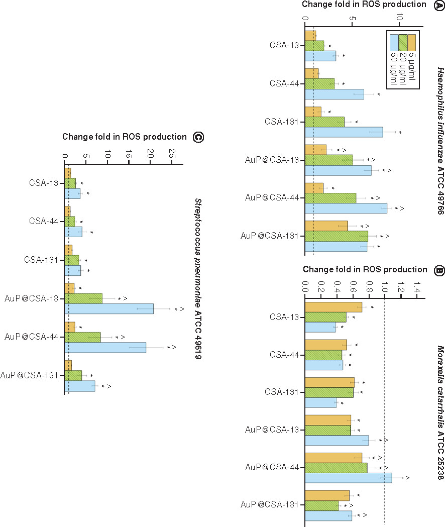 Figure 5. Generation of reactive oxygen species in otitis media-associated pathogens.ROS-inducing abilities of ceragenins CSA-13, CSA-44, CSA-131 and ceragenin-containing nanosystems AuP@CSA-13, AuP@CSA-44 and AuP@CSA-44 at a dose of 5 μg/ml (gold bars), 20 μg/ml (green stripped bars) and 50 μg/ml (blue bars) were tested against (A)Haemophillus influenzae ATCC 49766, (B)Moraxella catarrhalis ATCC 25238 and (C)Streptococcus pneumoniae ATCC 49619 (panel C). Results are presented as mean ± standard error of the mean from three to six individual experiments with three replicates each.* and ∧ indicate statistical significance (p < 0.05) compared with untreated control and free ceragenins, respectively.ATCC: American Type Culture Collection; AuP: Gold peanut-shaped nanoparticle; CSA: Cationic steroid antimicrobial; ROS: Reactive oxygen species.