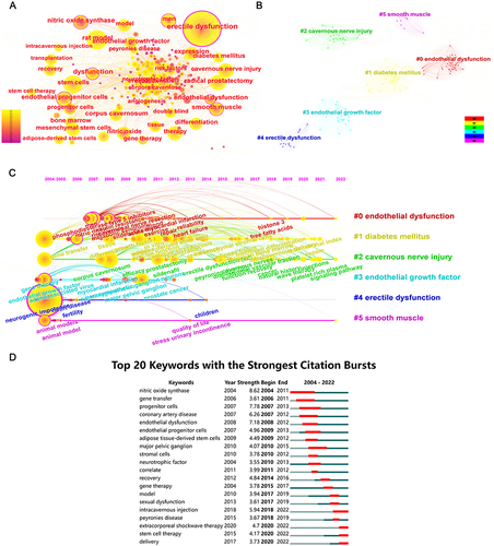 Figure 7 Visualization results of keywords on the research of SCT for ED. (A) Co-occurrence analysis of keywords. The size of the nodes represents the number of occurrences, and the depth of the color represents the average occurrence year of the keywords. (B) Clustering analysis of keywords. The same color represents a cluster. (C) The timeline visualization and clusters of keywords. (D) Burst analysis of references. The red portion of the blue line represents the burst duration of the keyword.