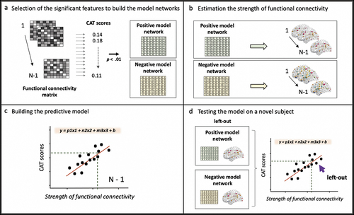 Figure 2. CPM-based prediction of the CAT scores. (a) We defined 200 brain ROIs based on the Schaefer atlas. For each participant, we measured the BOLD activity during the relatedness judgement task (RJT) and built a 200 by 200 functional connectivity matrix. The columns and rows represent the 200 ROIs, and each cell (links) is the coefficient of correlation between ROIs during the RJT task. Since we ran a leaving-out-one cross-validation, each of the CPM steps were analyzed in N-1 subjects. First, the values in each cell in the functional connectivity matrix were correlated to the creativity scores of each participant using Spearman correlations. We retained the links that were either positively or negatively correlated to the CAT scores (p < .01) in a positive and a negative model network, respectively. (b) We computed the strength of functional connectivity of the positive and the negative model networks. (c) the network connectivity computed in the positive and the negative model network were used as regressors to build the predictive linear model. (d) We calculated the positive and negative model network properties in the left-out participant. These values were the input in the predictive model estimated in (c) to predict its creativity scores.