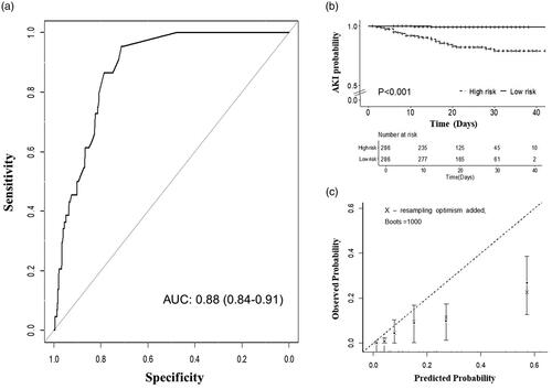 Figure 2. Validation of UCSD-Mayo Model in the COVID-19 cohort. (a) Area under curve of UCSD-Mayo risk score for prediction of AKI in COVID-19 validation cohort. (b) Kaplan–Meier curve with AKI-free survival of patients (n = 572) according to their risk group. (c) Calibration curve of UCSD-Mayo risk score for prediction of acute kidney injury in COVID-19 validation cohort.