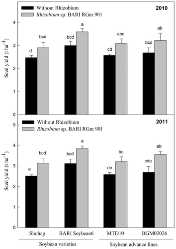 Fig. 5. Effect of inoculation with Rhizobium sp. BARIRGm901 on seed yield of soybean genotypes grown in gray terrace soil in 2010 and 2011.