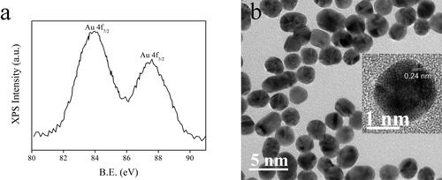 Figure 2. XPS spectrum (a) and TEM image (b) of the as-synthesized AuNCs sample (5 W/2 min).