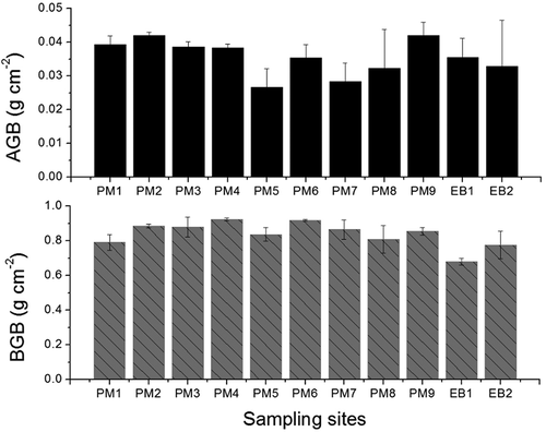 Figure 2. Distributions of aboveground biomass (AGB) and belowground biomass (BGB) in the permafrost area