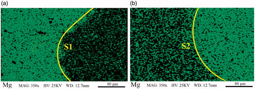 Figure 6. EDS map of Mg element in the joint region around (a) S1 border, and (b) S2 border.