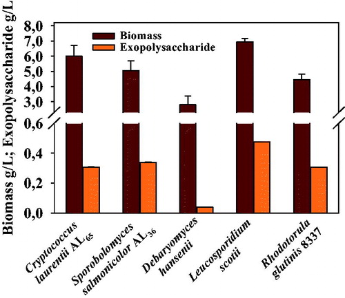 Figure 1. Quantities of biomass and exopolysaccharide synthesized by Antarctic strains.