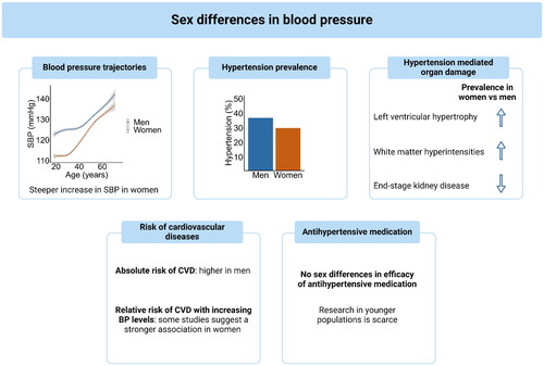 Figure 3. To model BP trajectories and calculate the prevalence of hypertension, we used data from participants of the HELIUS study (n = 7,951 men, n = 10,523 women).CVD: cardiovascular diseases; SBP: systolic blood pressure; BP: blood pressure.