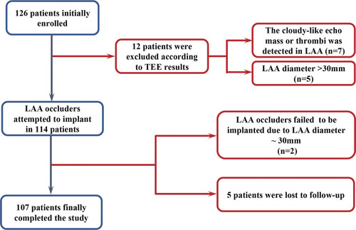 Figure 1 Flow diagram of the present study.